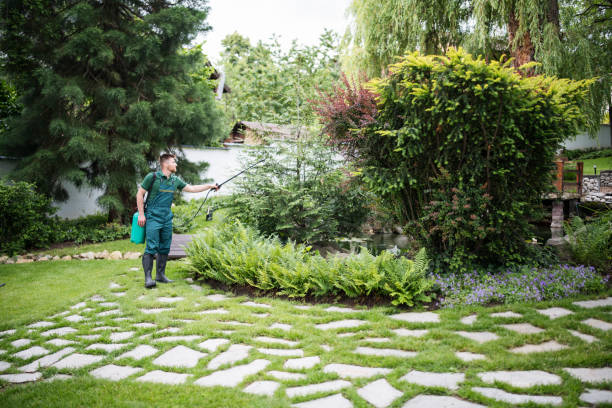 Professional Pest Control in Fern Park, FL