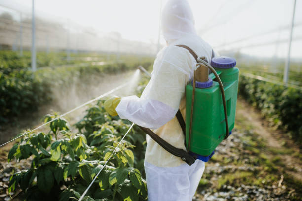 Best Pest Removal Services  in Fern Park, FL